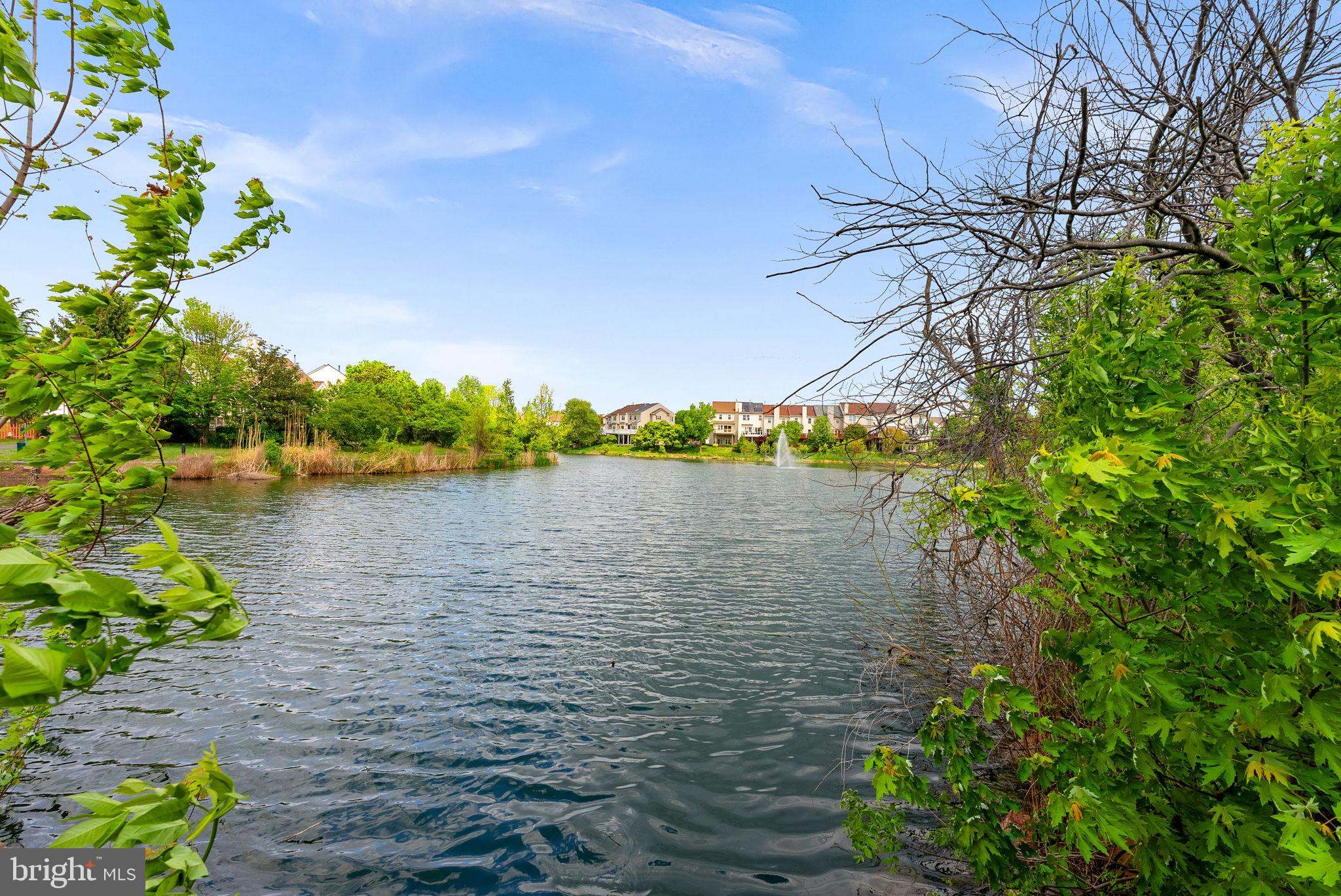 LAKESHORE CONDO - Residential