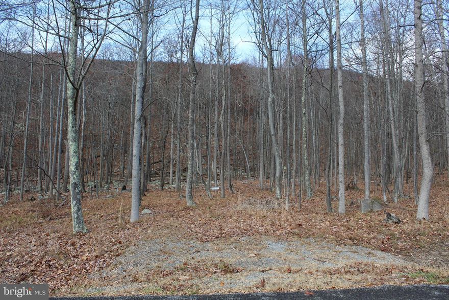 1.74 acres to build your dream home in Cacapon East. Paved roads to this wooded parcel features underground utilities with public sewer available. Near Cacapon State Park for all your outside adventures including golf.  HOA is currently $470.00 and will be increased in 2025 an additional $100.00.