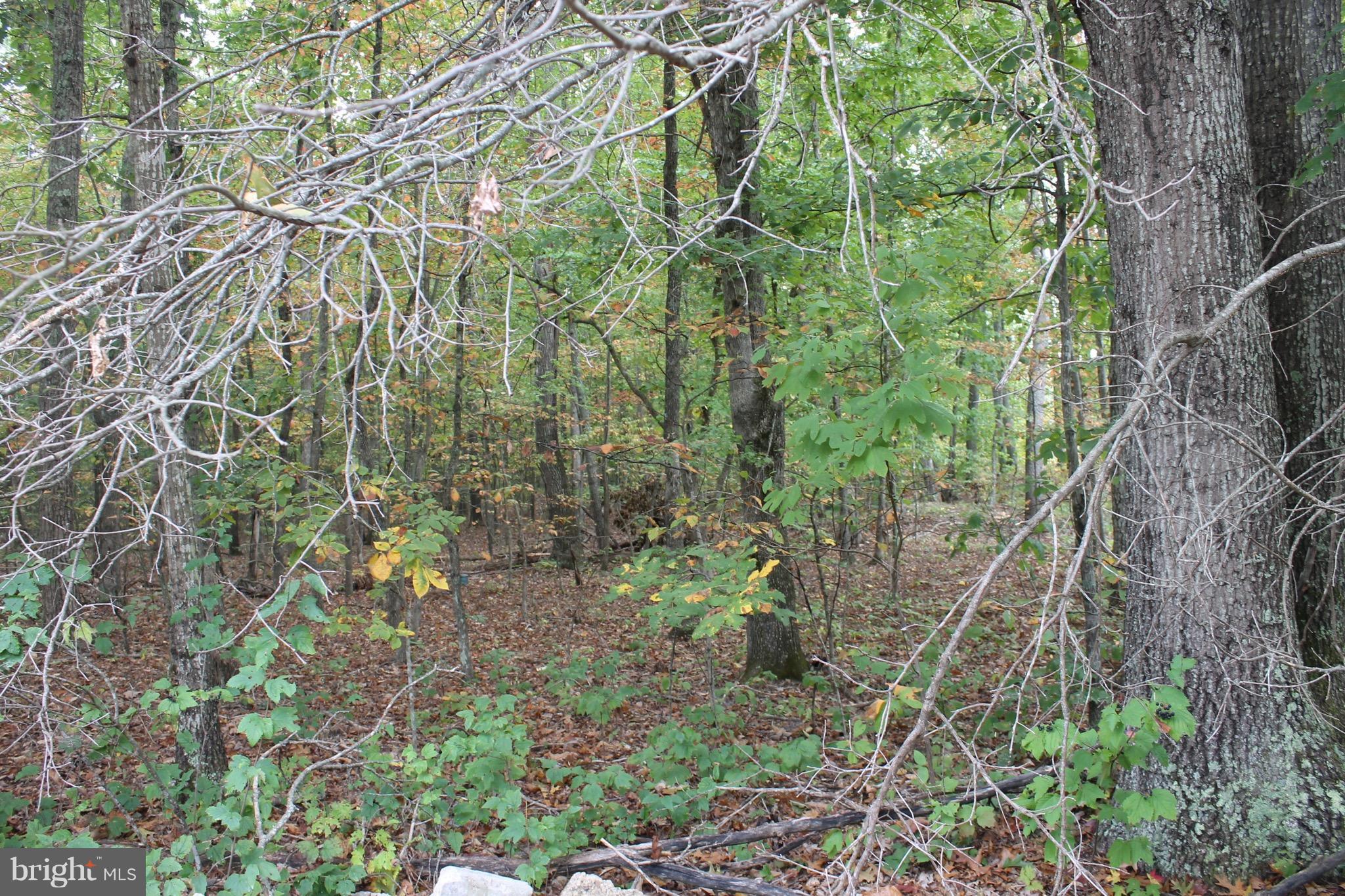 BURNT MILL ESTATES - Land