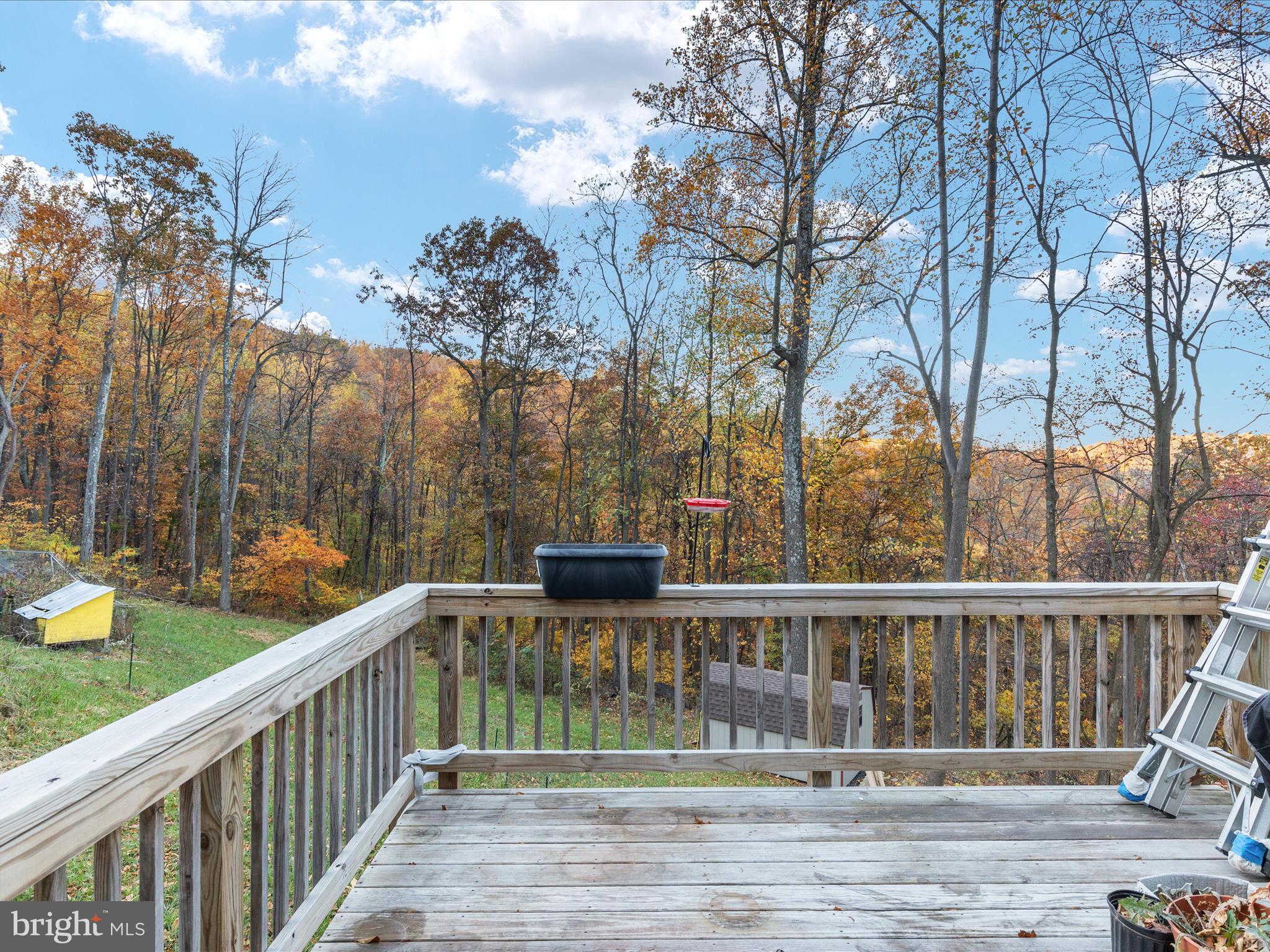 87 TULIP POPLAR DRIVE