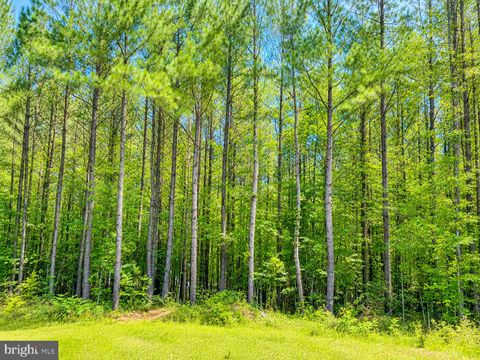Vacant Land For Sale - Governor Almond Rd<br/> LOCUST GROVE, VA 22508