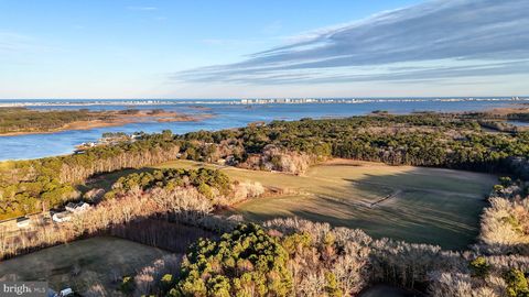 Vacant Land For Sale - LOT 1 Muskrattown Road<br/> BISHOPVILLE, MD 21813