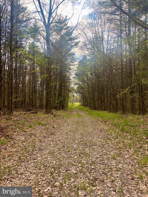 Vacant Land For Sale - 654 Edgewood Dr<br/> LEEPER, PA 16233
