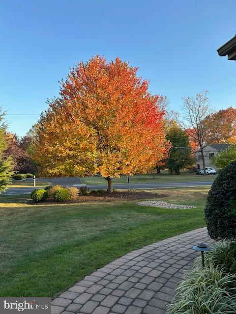 FOREST CREEK - Residential