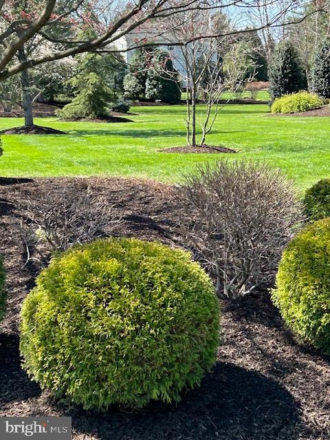 FOREST CREEK - Residential