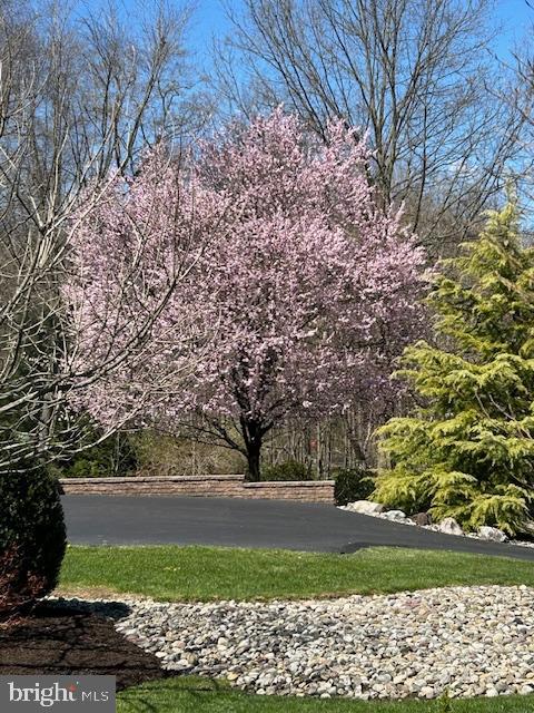 FOREST CREEK - Residential