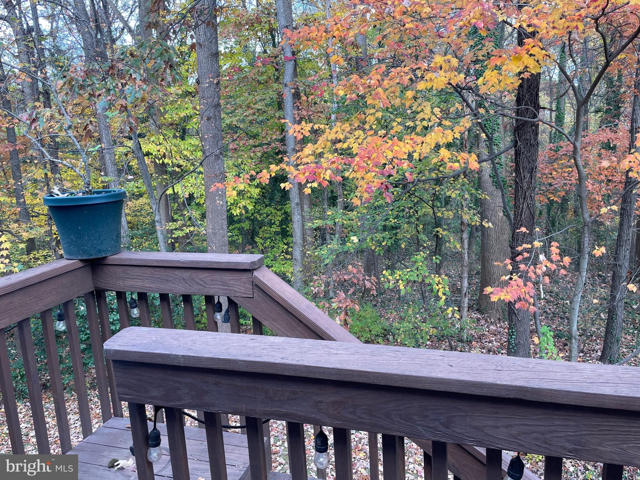 BARKSDALE - Residential Lease