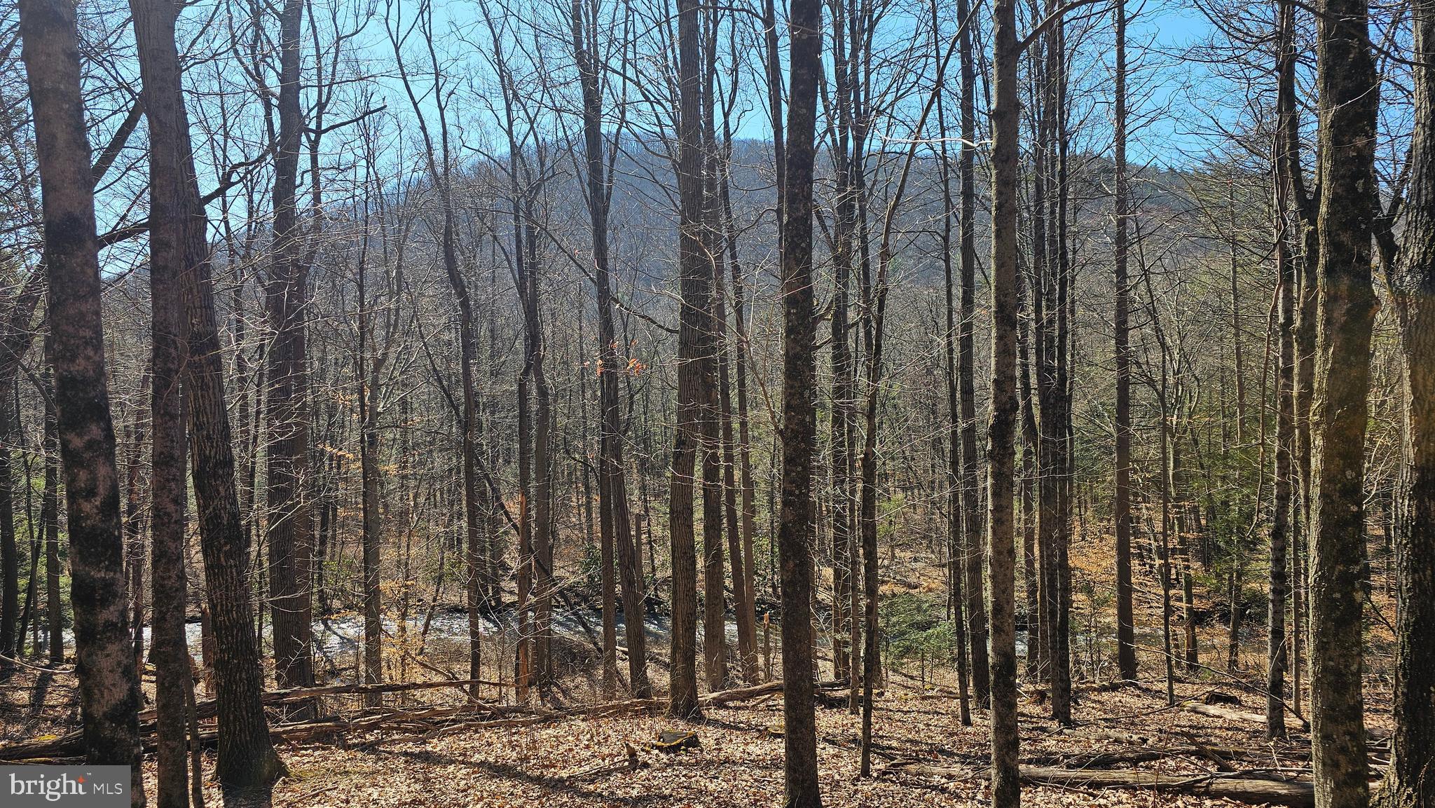 OLD US HIGHWAY 322 LOT 3