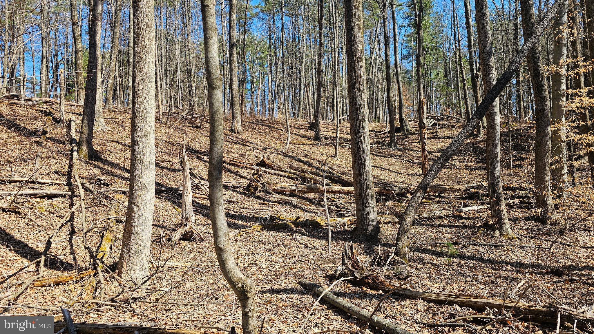 OLD US HIGHWAY 322 LOT 3