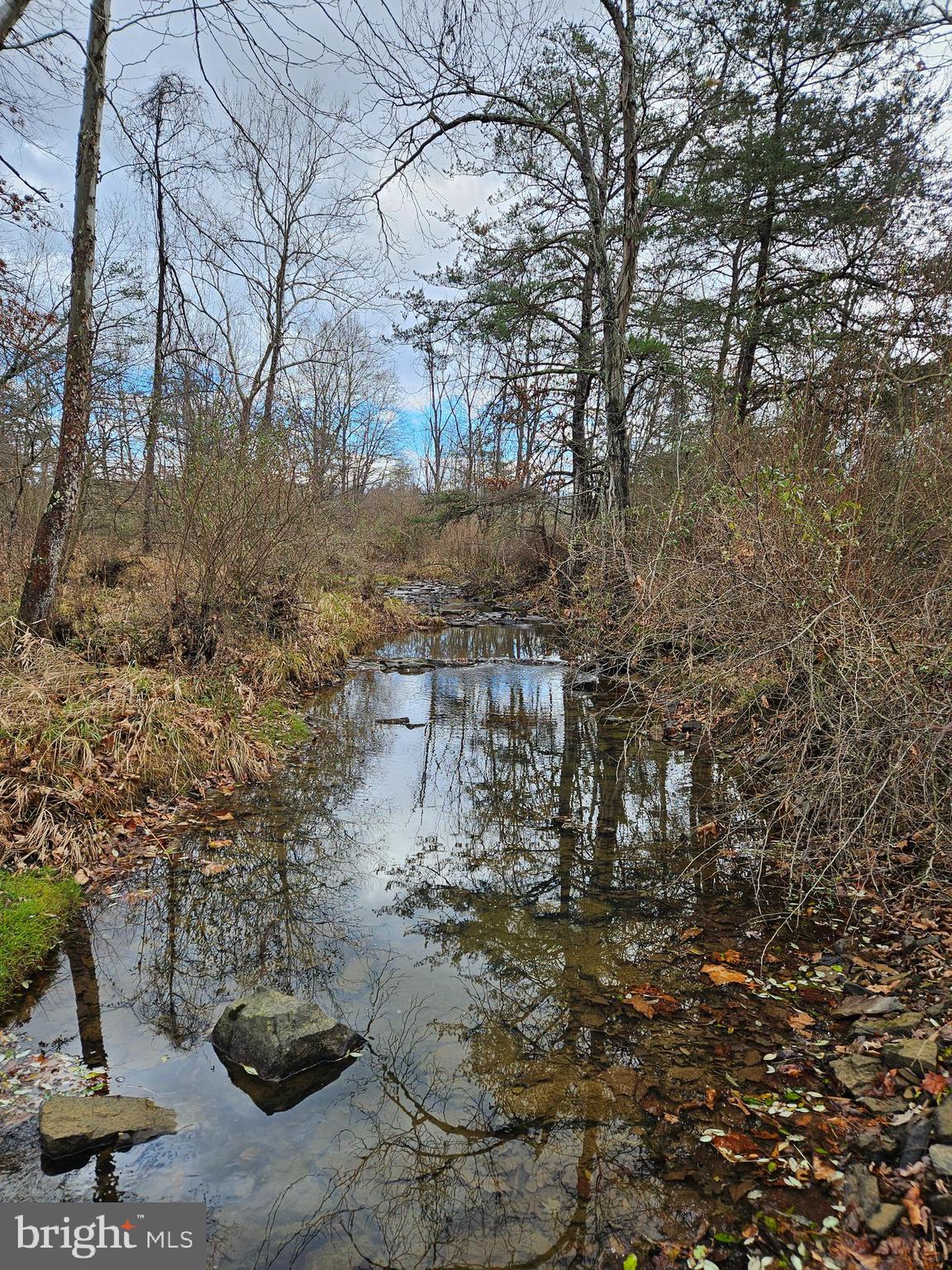 MILL BRANCH - Residential