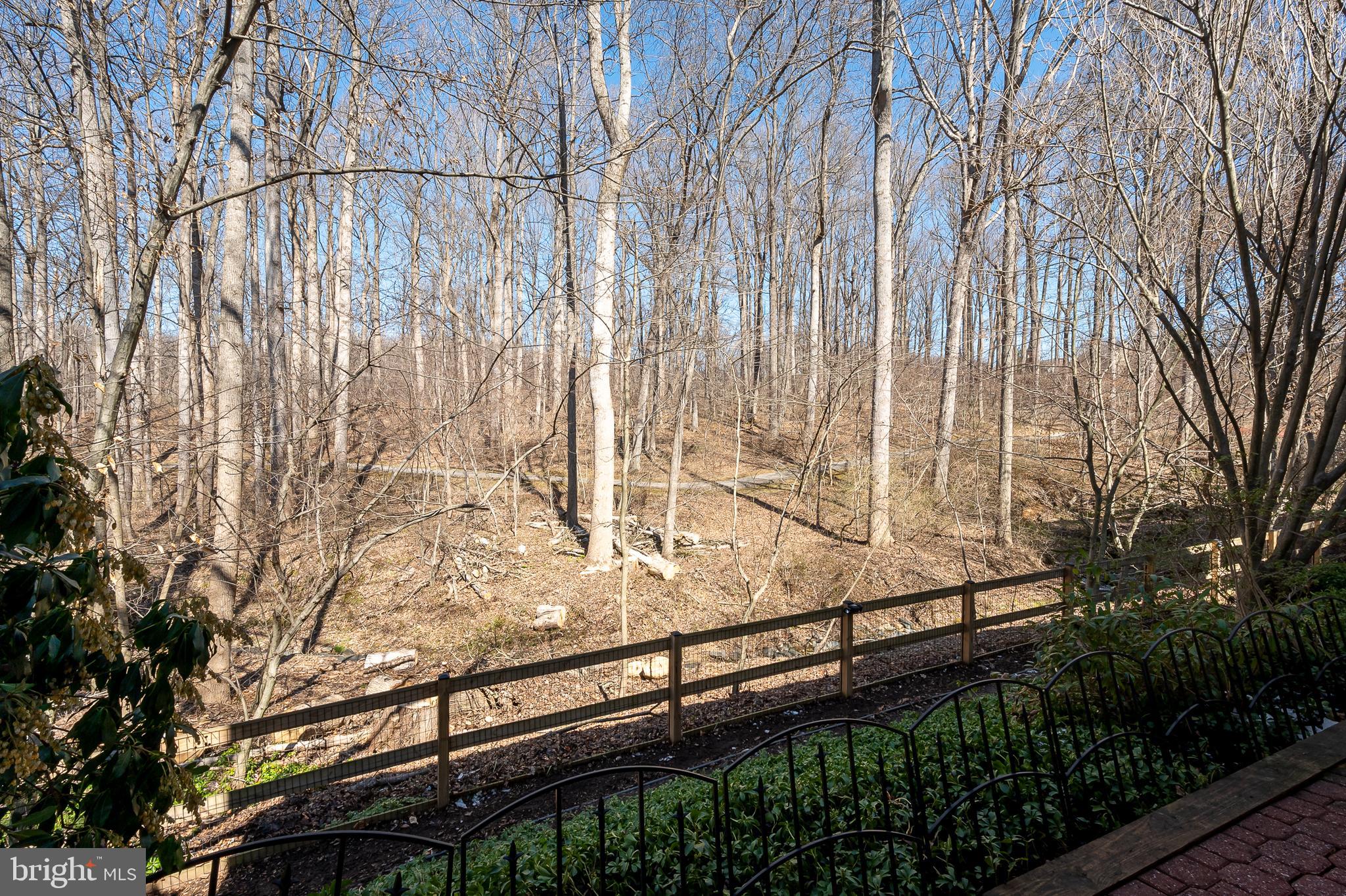 VILLAGE OF HICKORY RIDGE - Residential