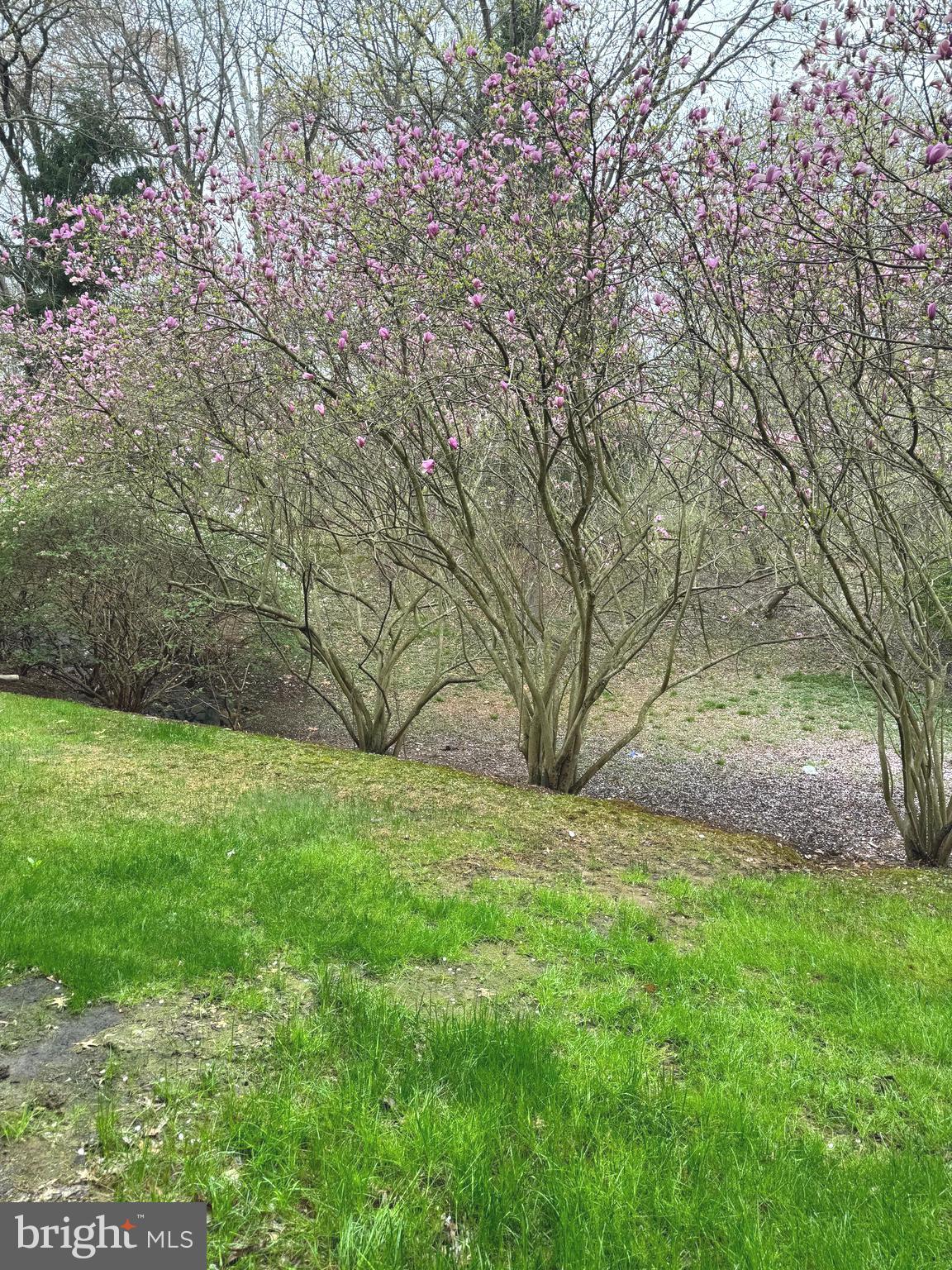 RIVERSTONE CODM - Residential Lease