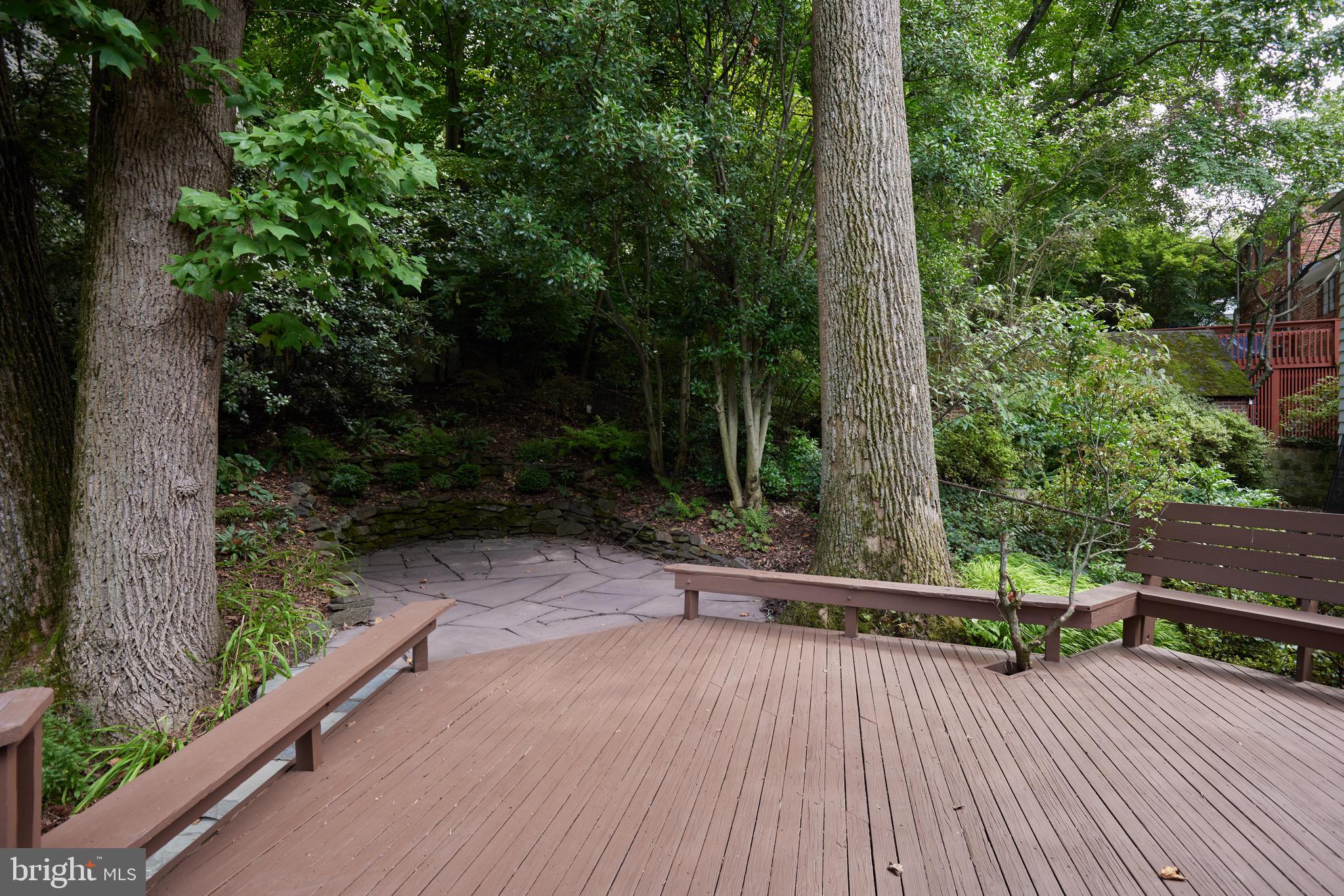 CHEVY CHASE - Residential Lease