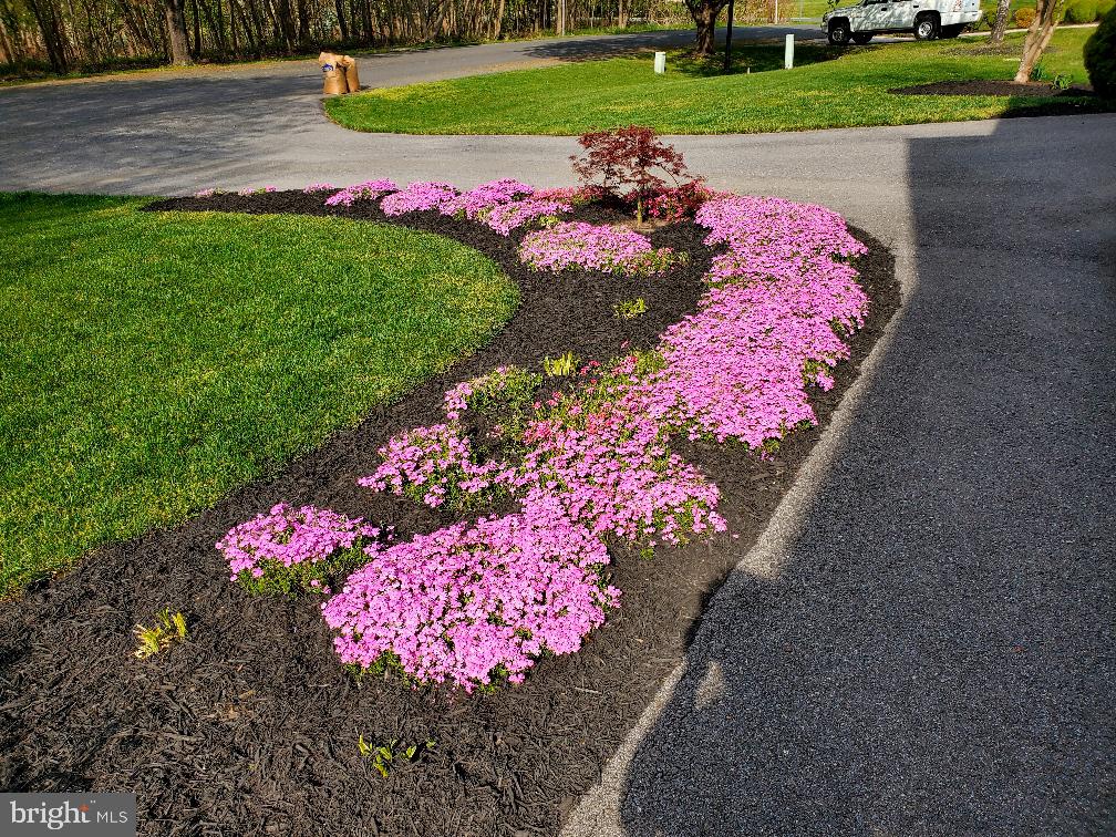 SHERWOOD FOREST - Residential