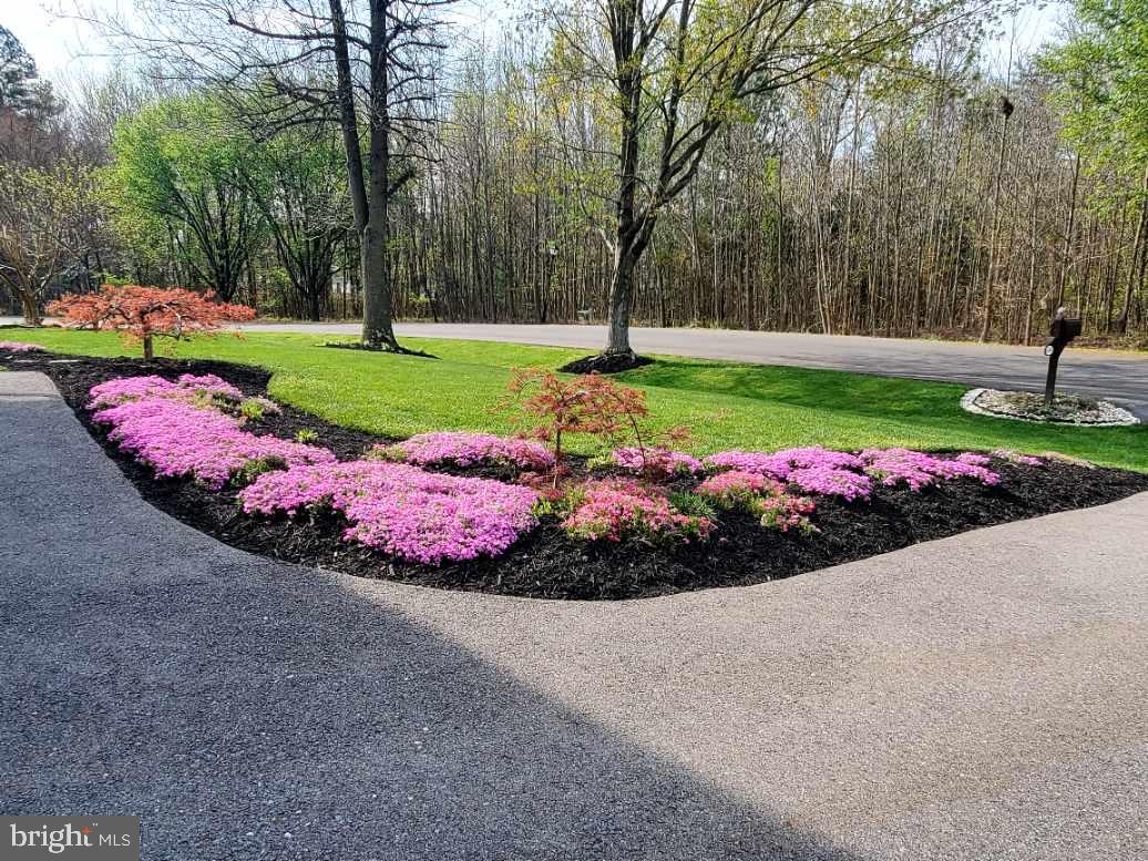 SHERWOOD FOREST - Residential