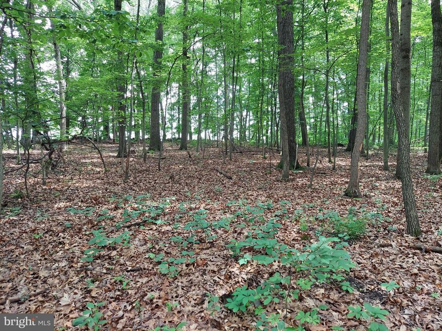 Looking for a private piece of land to build your dream home? Explore the possibilities offered on this 5.89 acre wooded lot, that was recently surveyed. Situated down a private lane currently shared by 4 owners, it will take only one look to know this is where you want your dream home. Needs perc and probe and a well. Electric is nearby. No steep slopes! Convenient for Harrisburg and York commuters alike! Bring your own builder and plans OR use one of our Custom Builders to design and build a home, to fit your needs and budget.