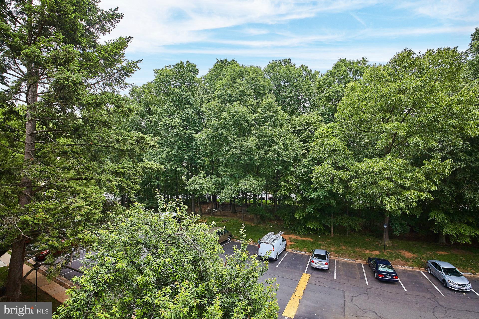 IVYMOUNT COURT - Residential