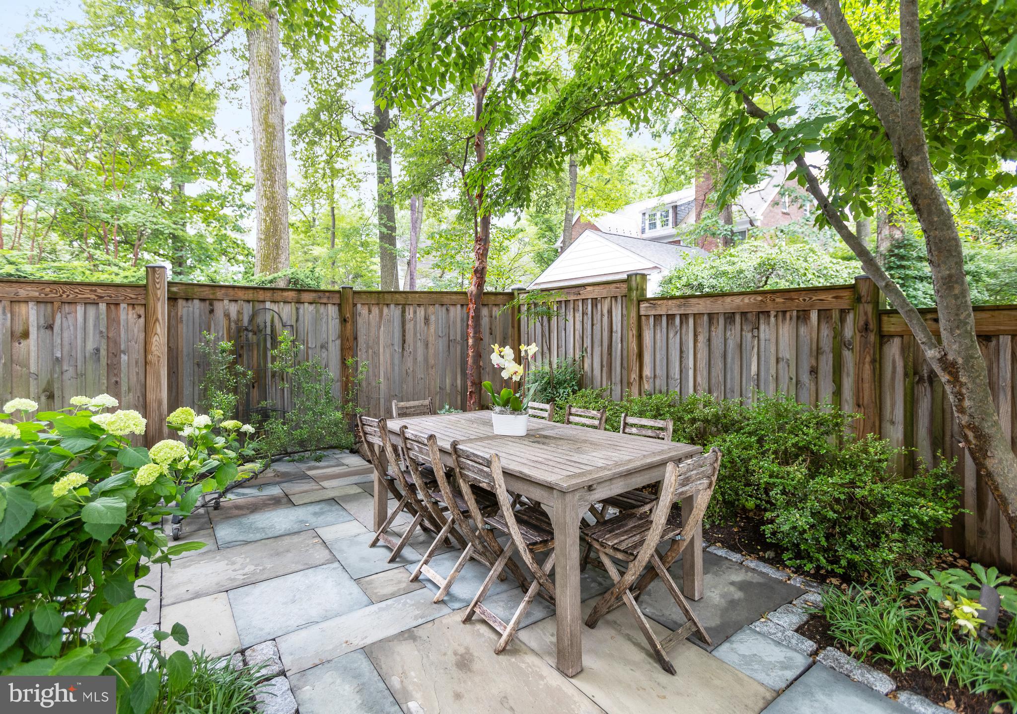 CHEVY CHASE - Residential