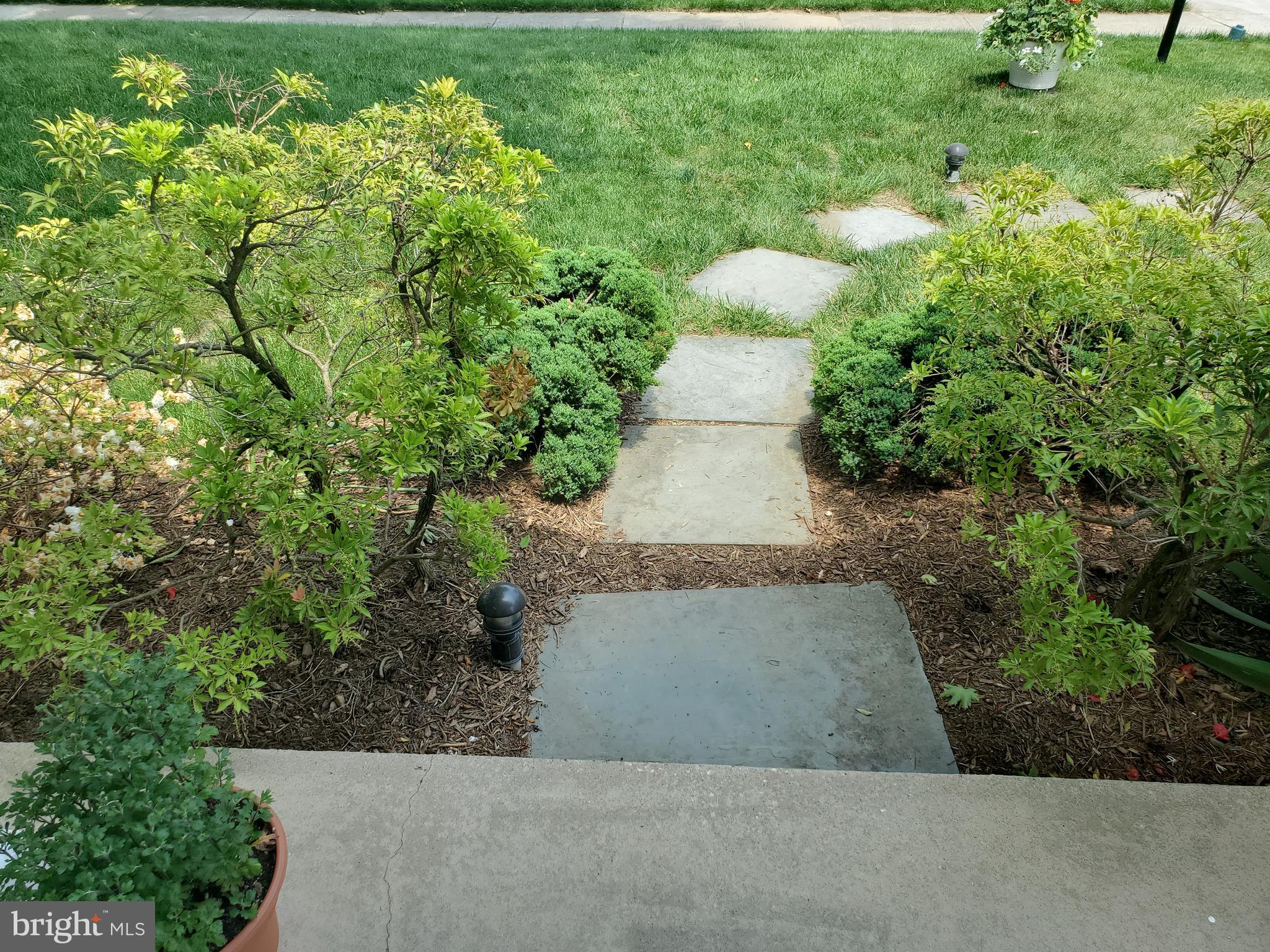 SPRINGDALE - Residential