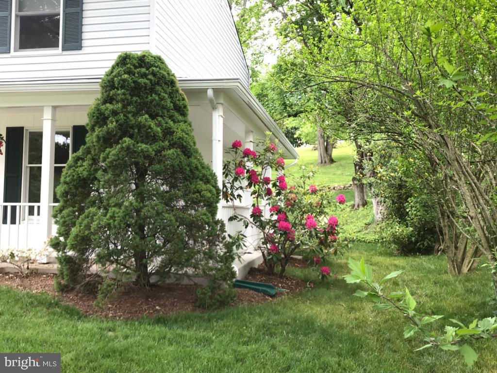 SPRINGDALE - Residential