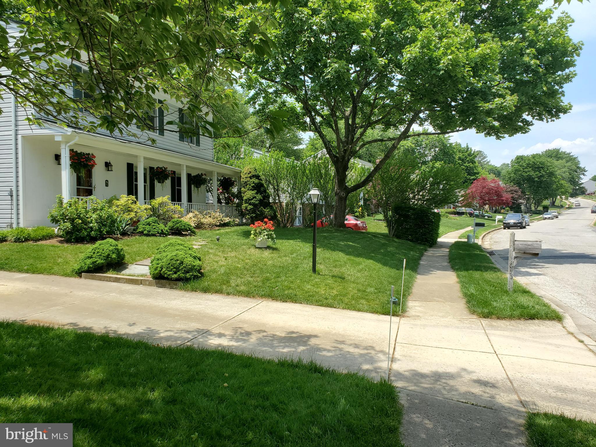 SPRINGDALE - Residential