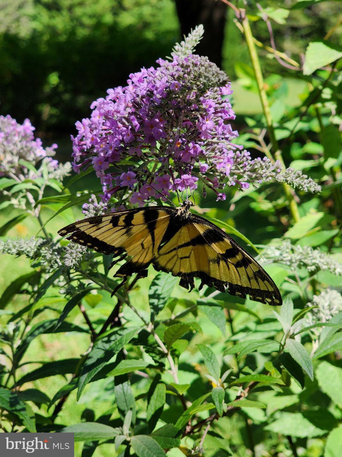 NORTH KEYS ESTATES - Residential Lease