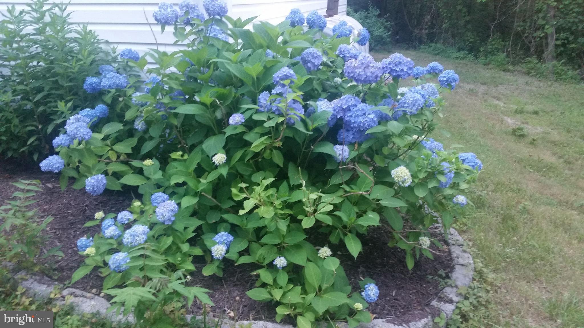 NORTH KEYS ESTATES - Residential Lease