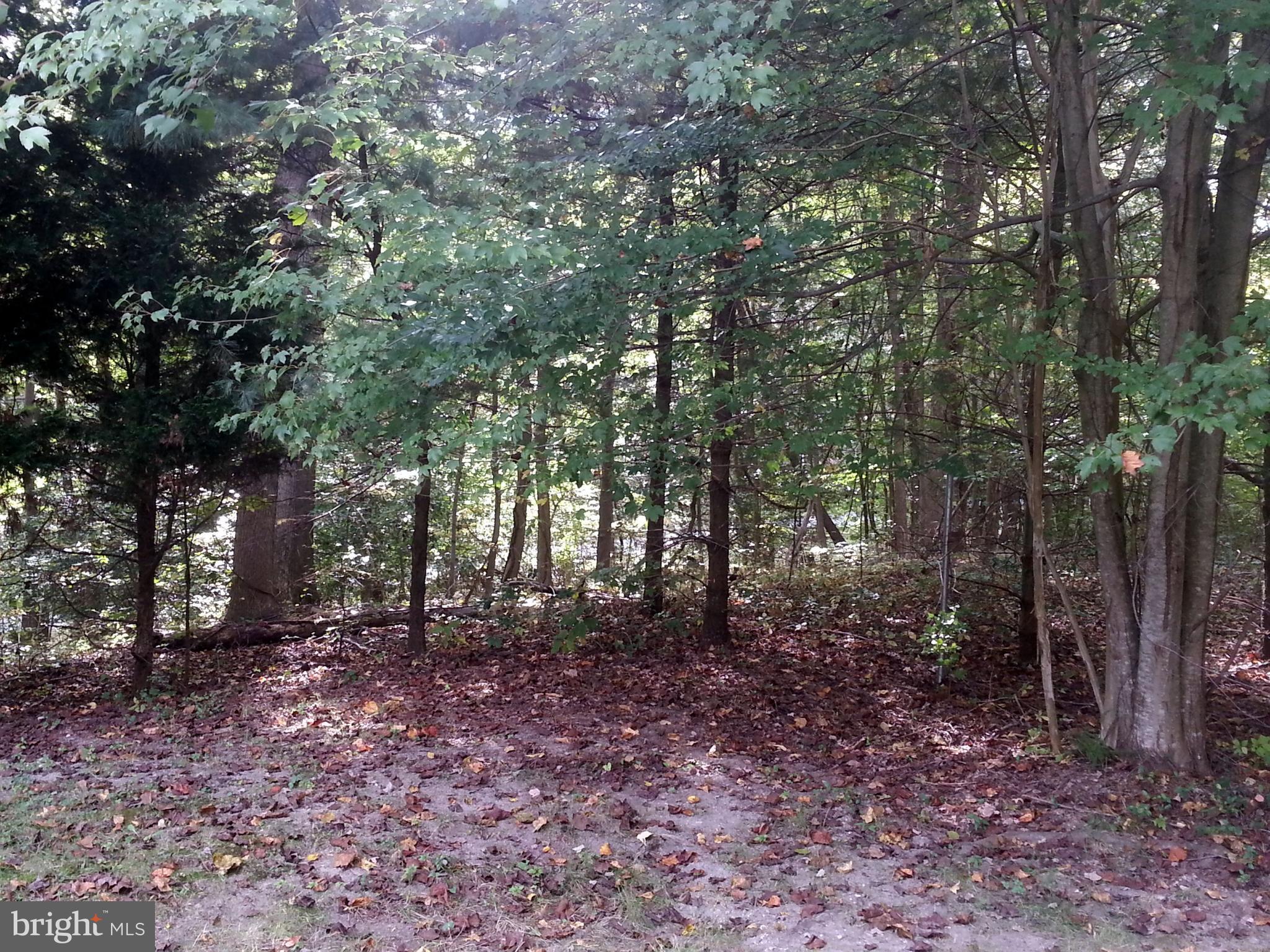 NORTH KEYS ESTATES - Residential Lease