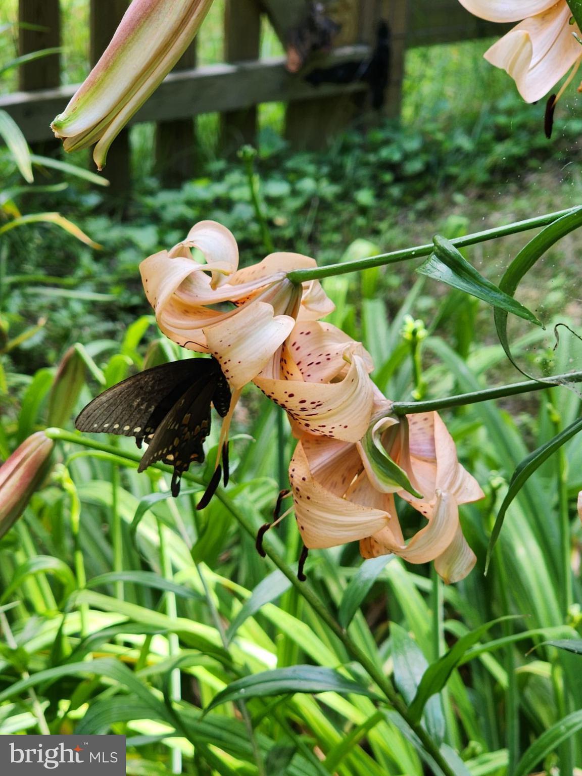 NORTH KEYS ESTATES - Residential Lease