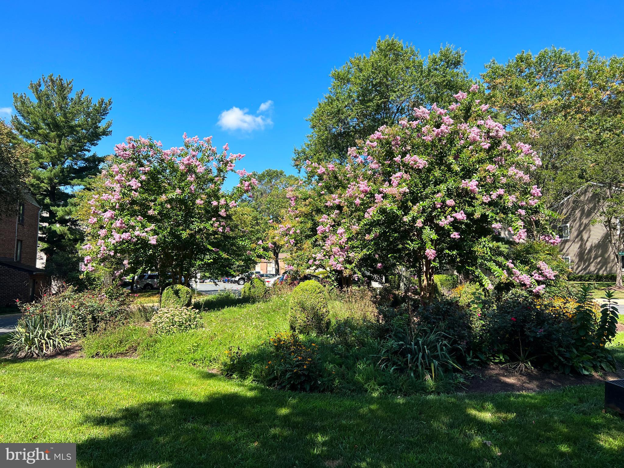 OAK SPRINGS - Residential