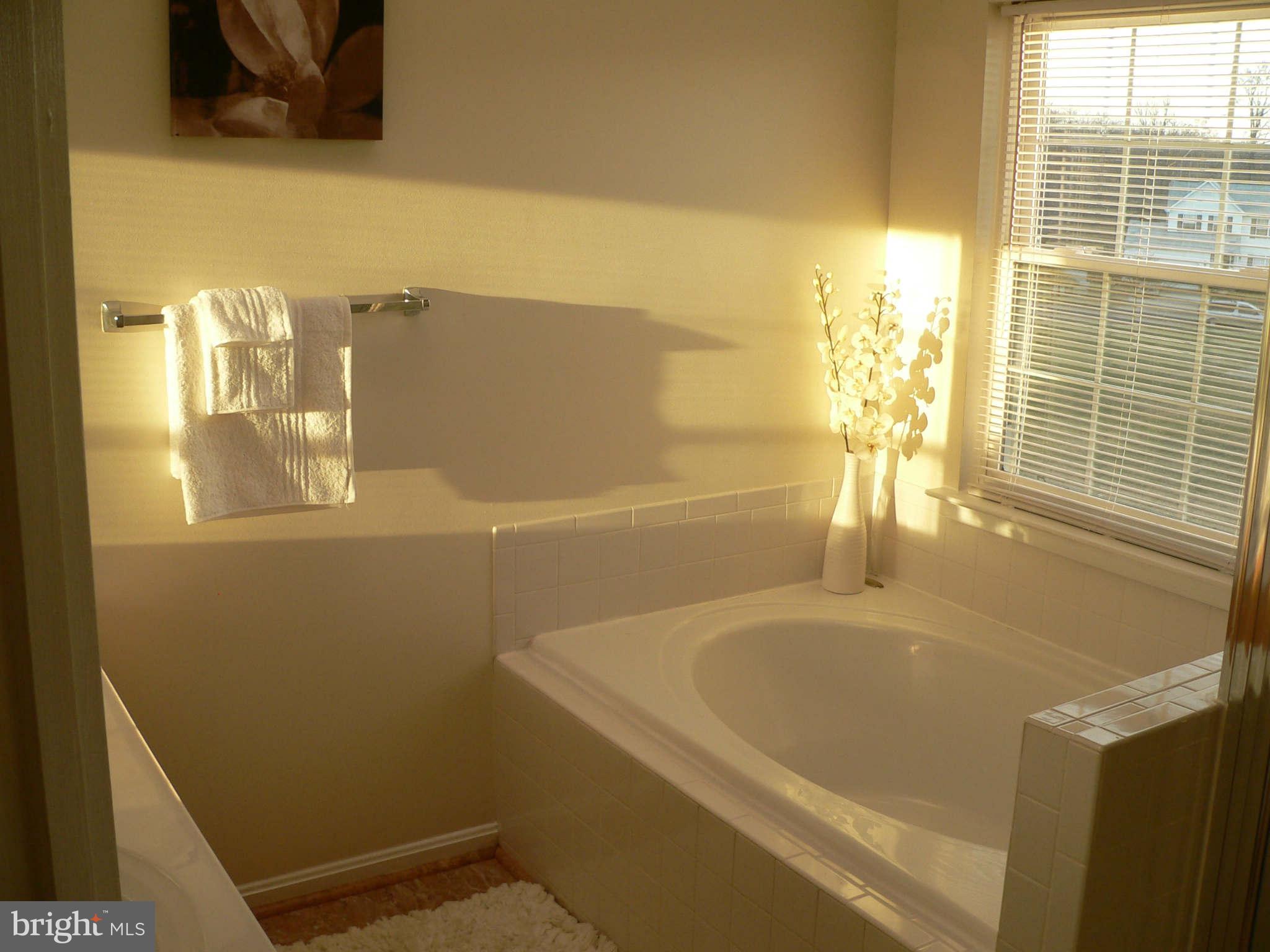 RIDGE COMMONS - Residential Lease