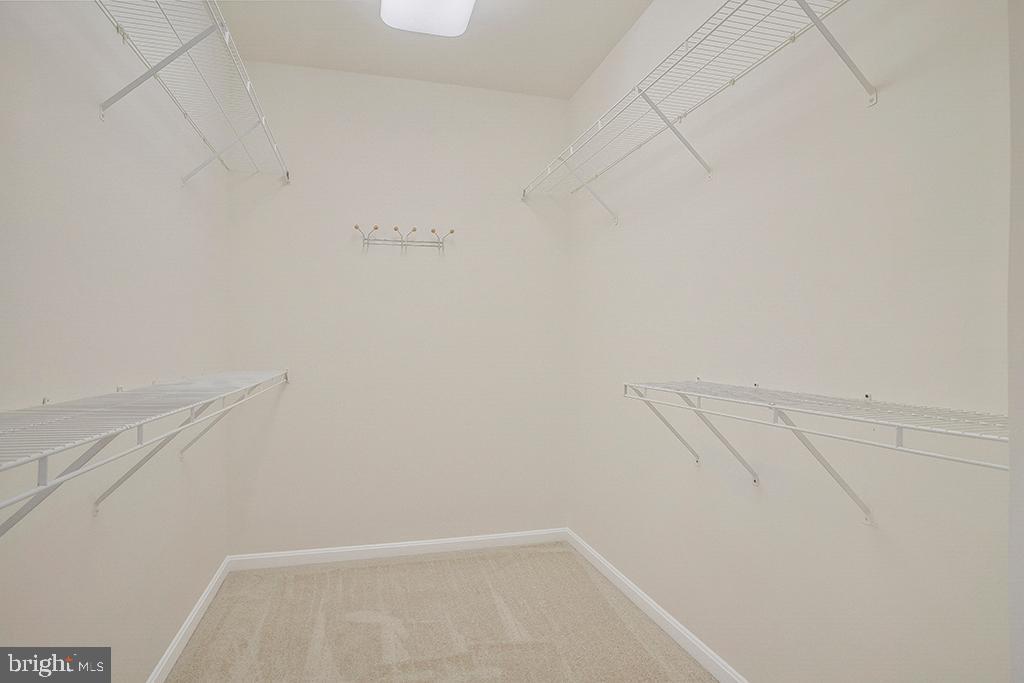 FOREST VIEW - Residential