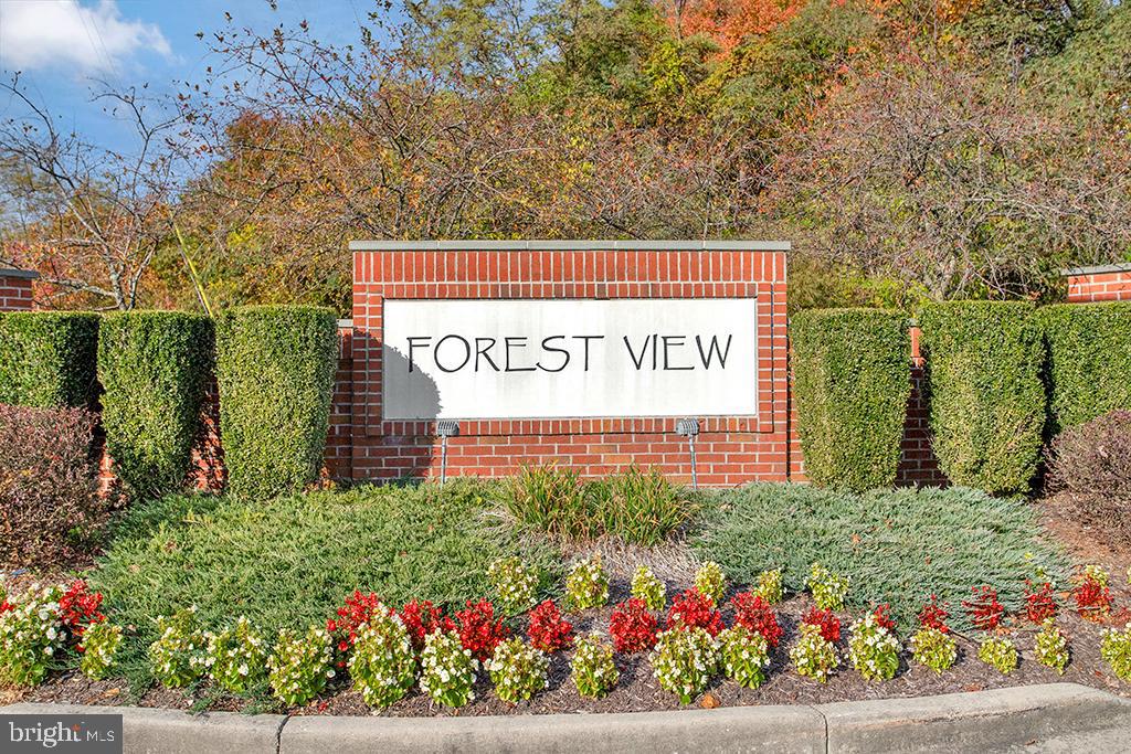 FOREST VIEW - Residential
