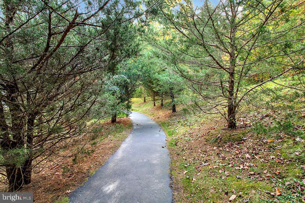 FOREST VIEW - Residential