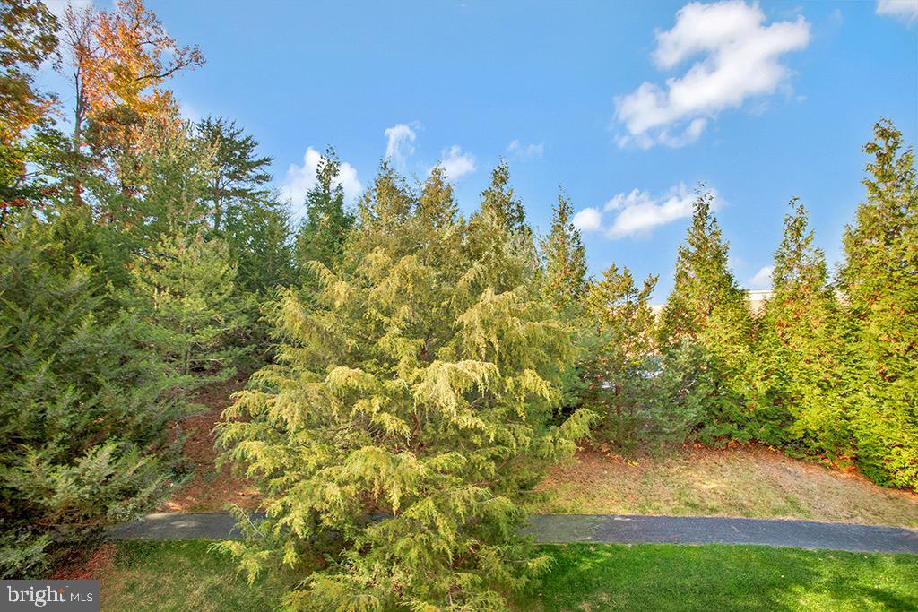 FOREST VIEW - Residential