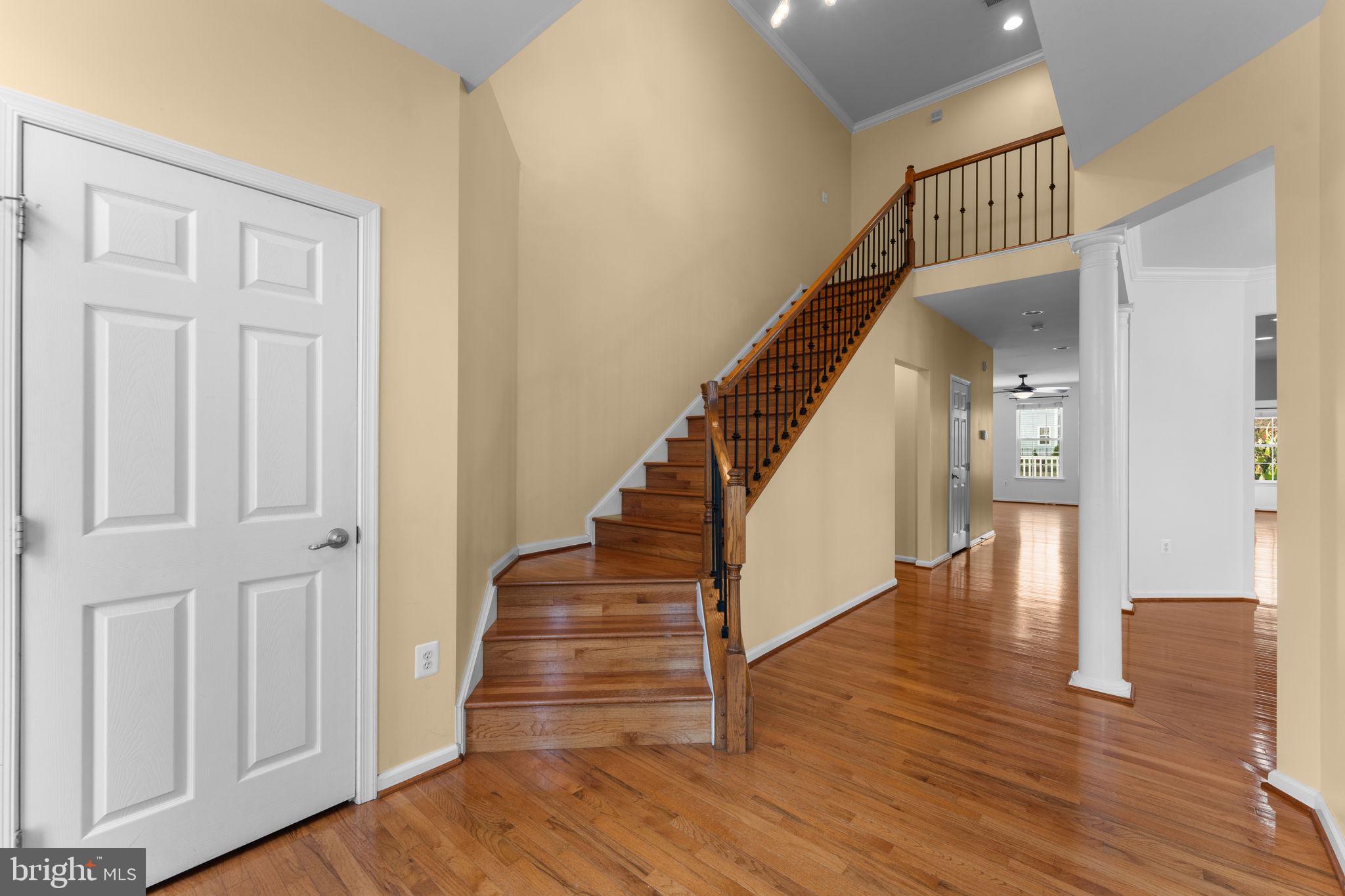 IDLEWILD - Residential