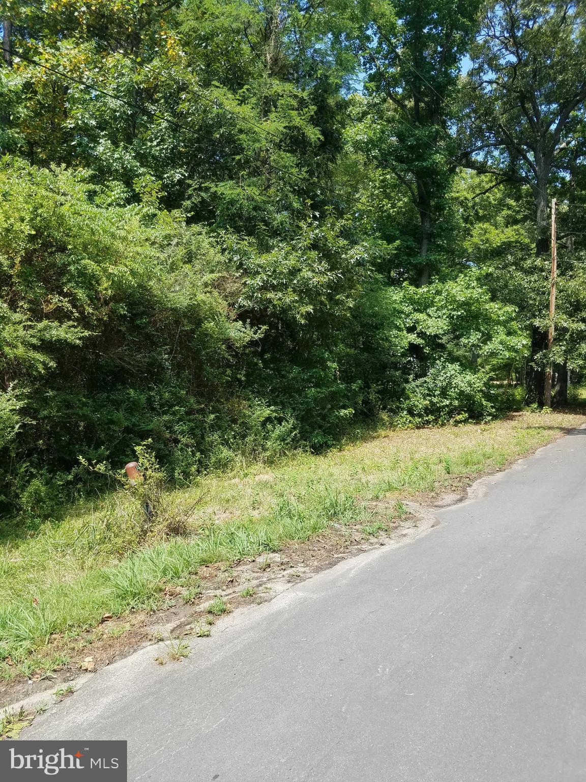 Invest in something that will never depreciate!!! LAND.... Build your dream home on this secluded lot.
You get two parcels for the price of one. Minutes to shopping, restaurants, beaches, and the NAS Pax River.