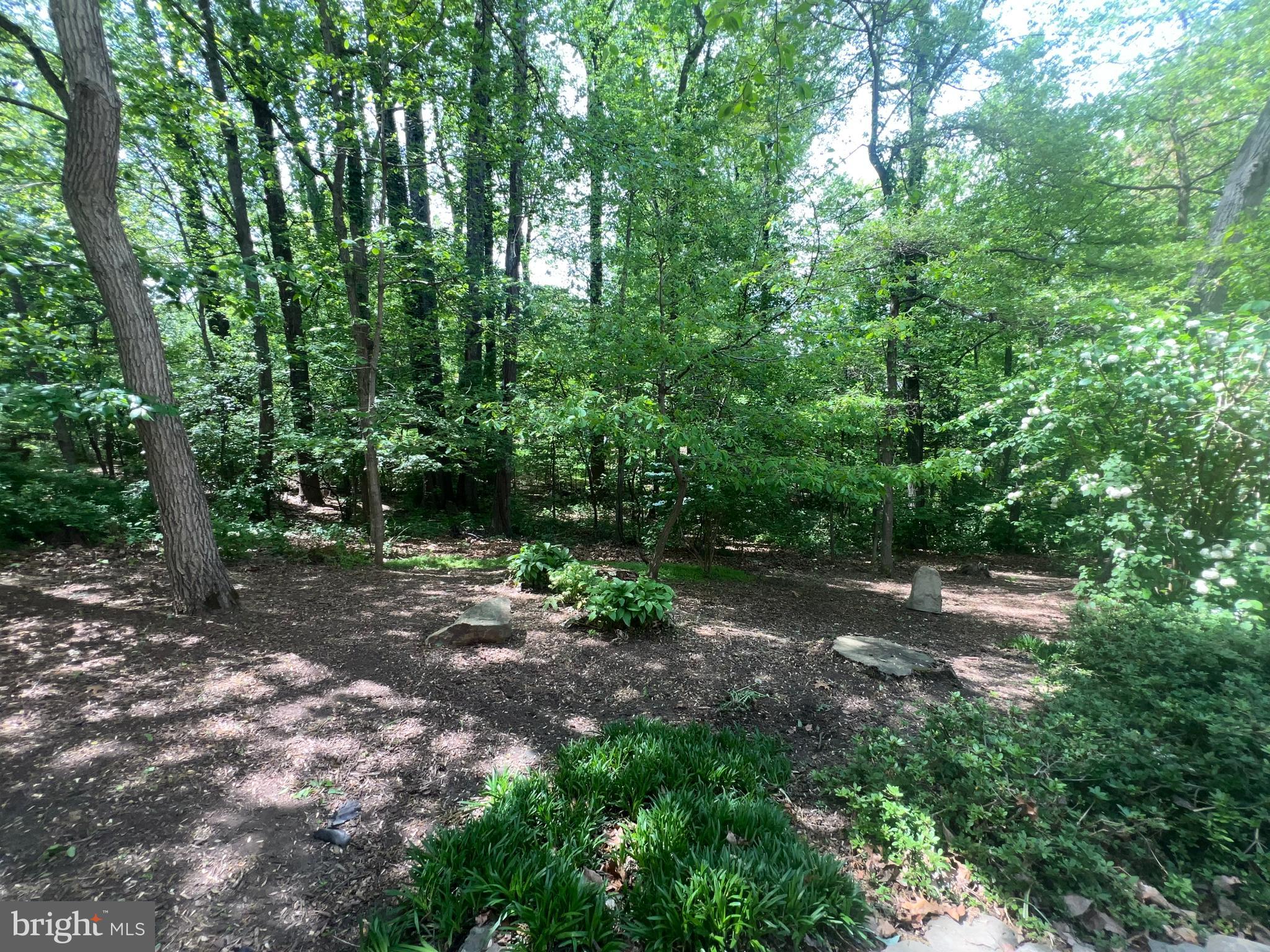 1288 AUBURN GROVE LANE