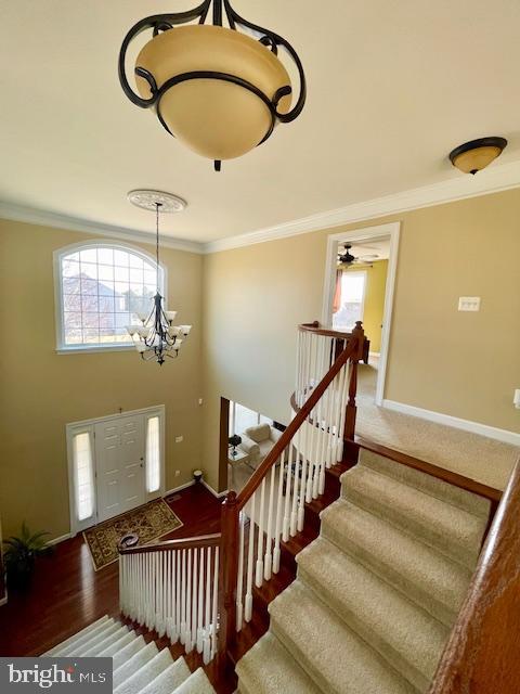 EVERGREEN - Residential