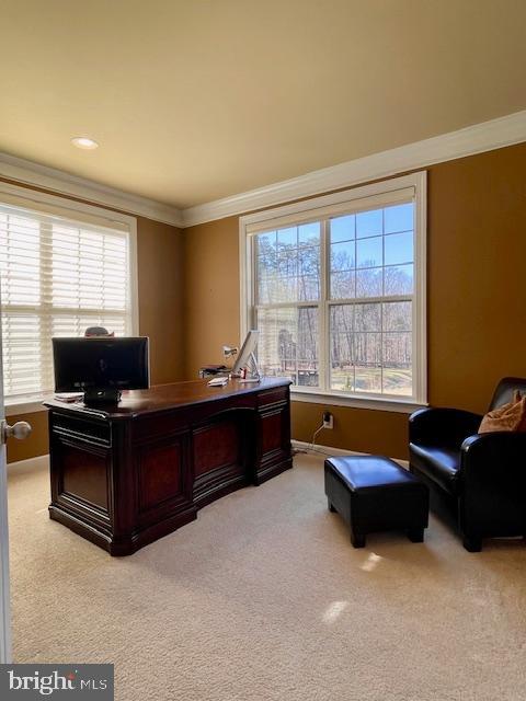 EVERGREEN - Residential