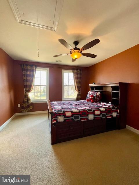 EVERGREEN - Residential