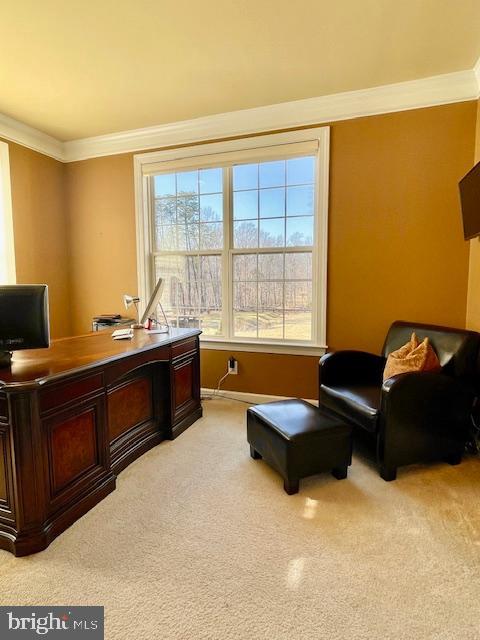 EVERGREEN - Residential