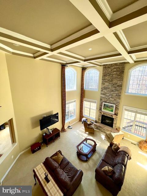 EVERGREEN - Residential