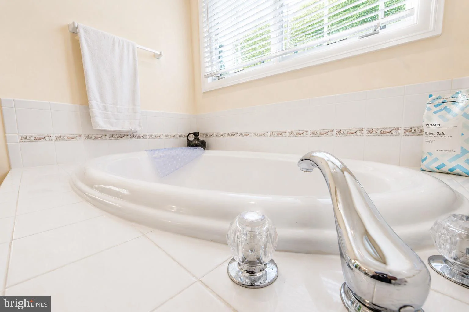 Additional image 113 of 309 Treemont Way, Rockville, MD 20850