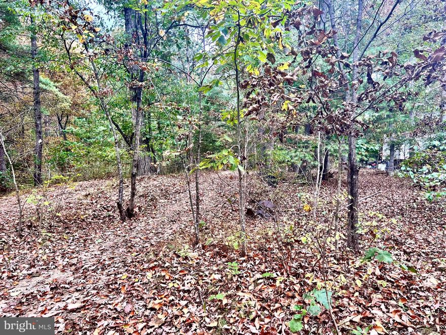 A little off the beaten path, this 2 acre lot offers plenty of tall timber and privacy as it sits close to the end of the road.  No HOA, so you can hunt, camp, ride your 4 wheeler, or build yourself a full time home.   This lot has 2 flat, level areas, big enough to construct multiple buildings and one of those areas is already cleared.  Haul in some fill dirt between the flats, and you will have yourself a mostly level lot.     Perc tested. Come take a look today.