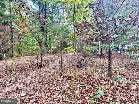 Vacant Land For Sale - PARCEL 38 Conservation Drive<br/> Berkeley County, HEDGESVILLE, WV 25427
