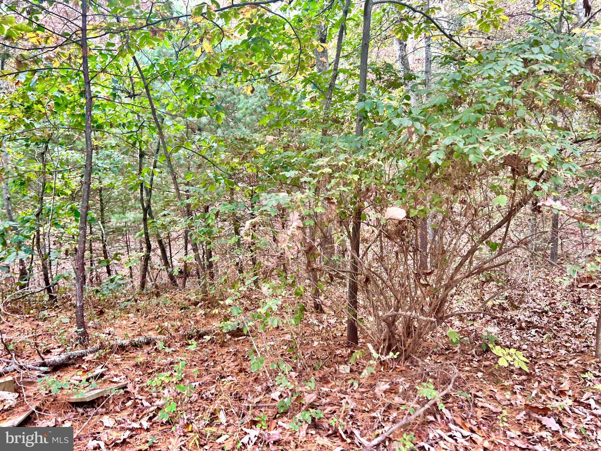 Parcel 38 CONSERVATION DRIVE