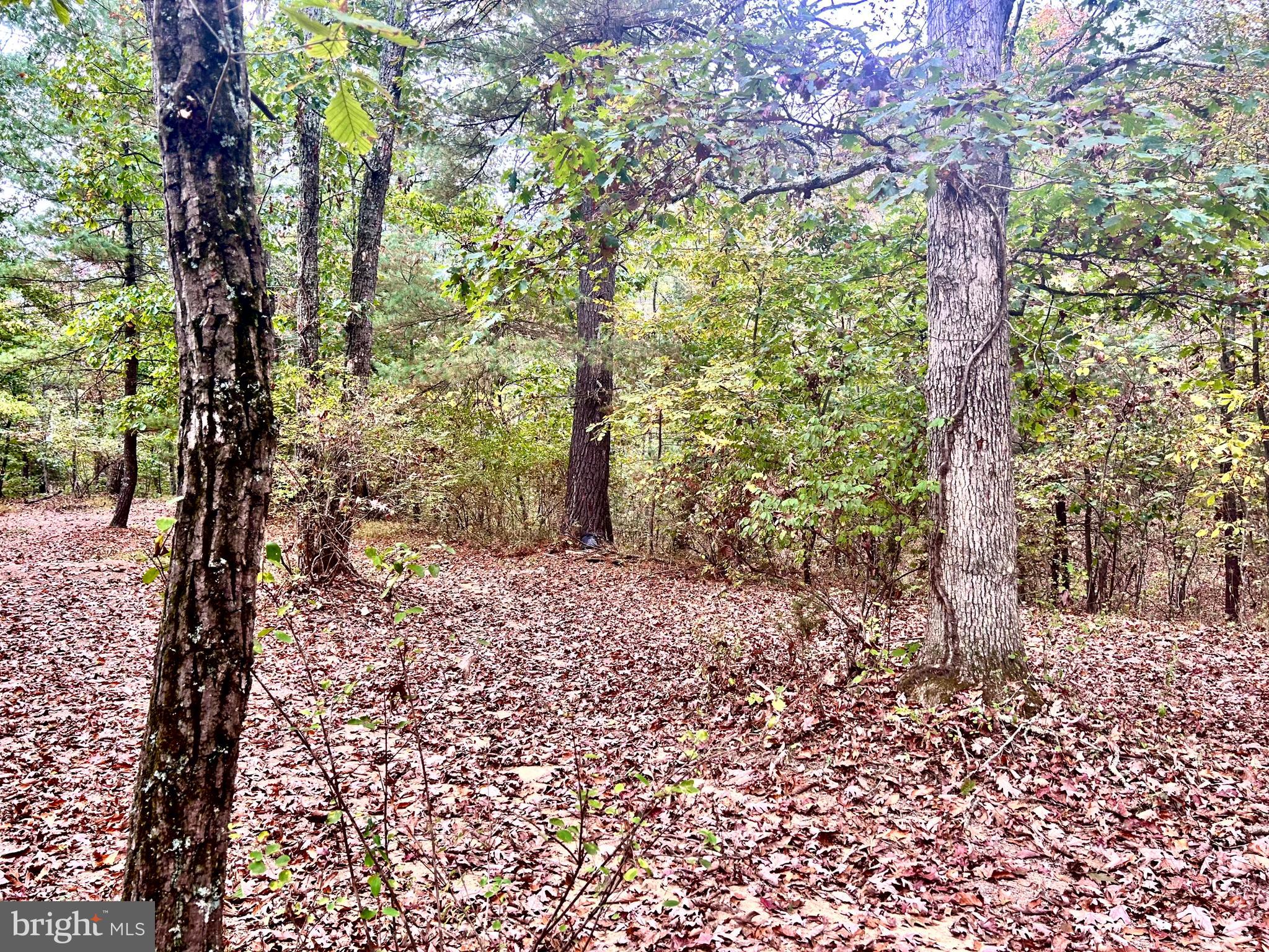 Parcel 38 CONSERVATION DRIVE