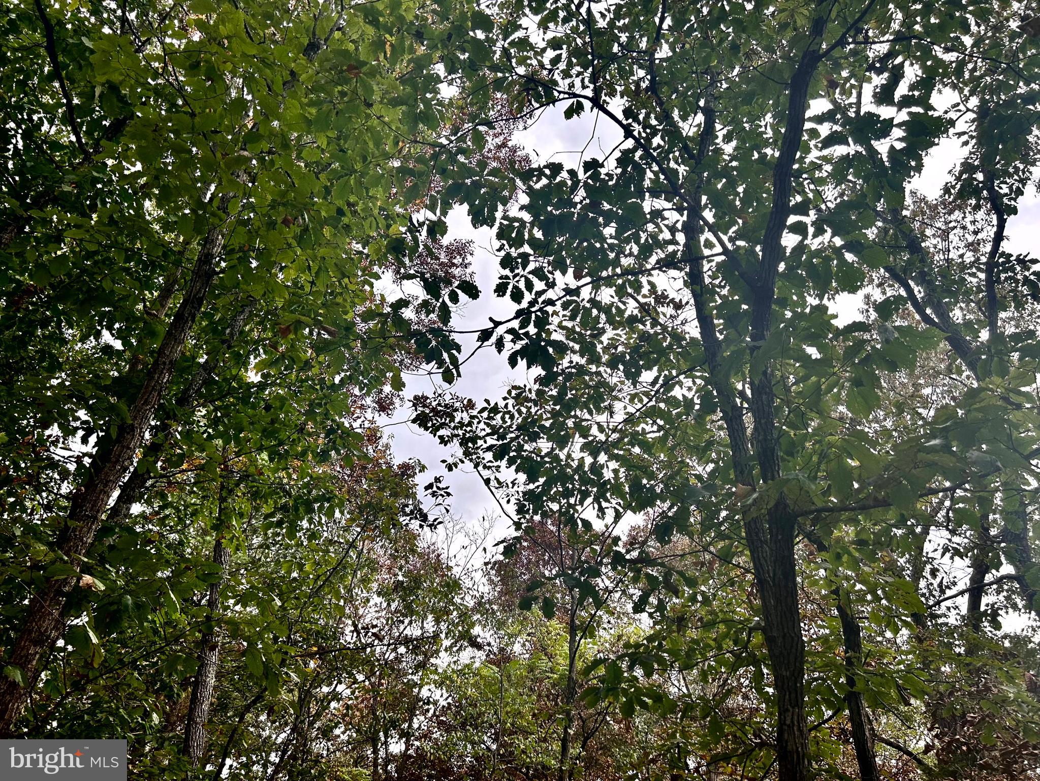 Parcel 38 CONSERVATION DRIVE