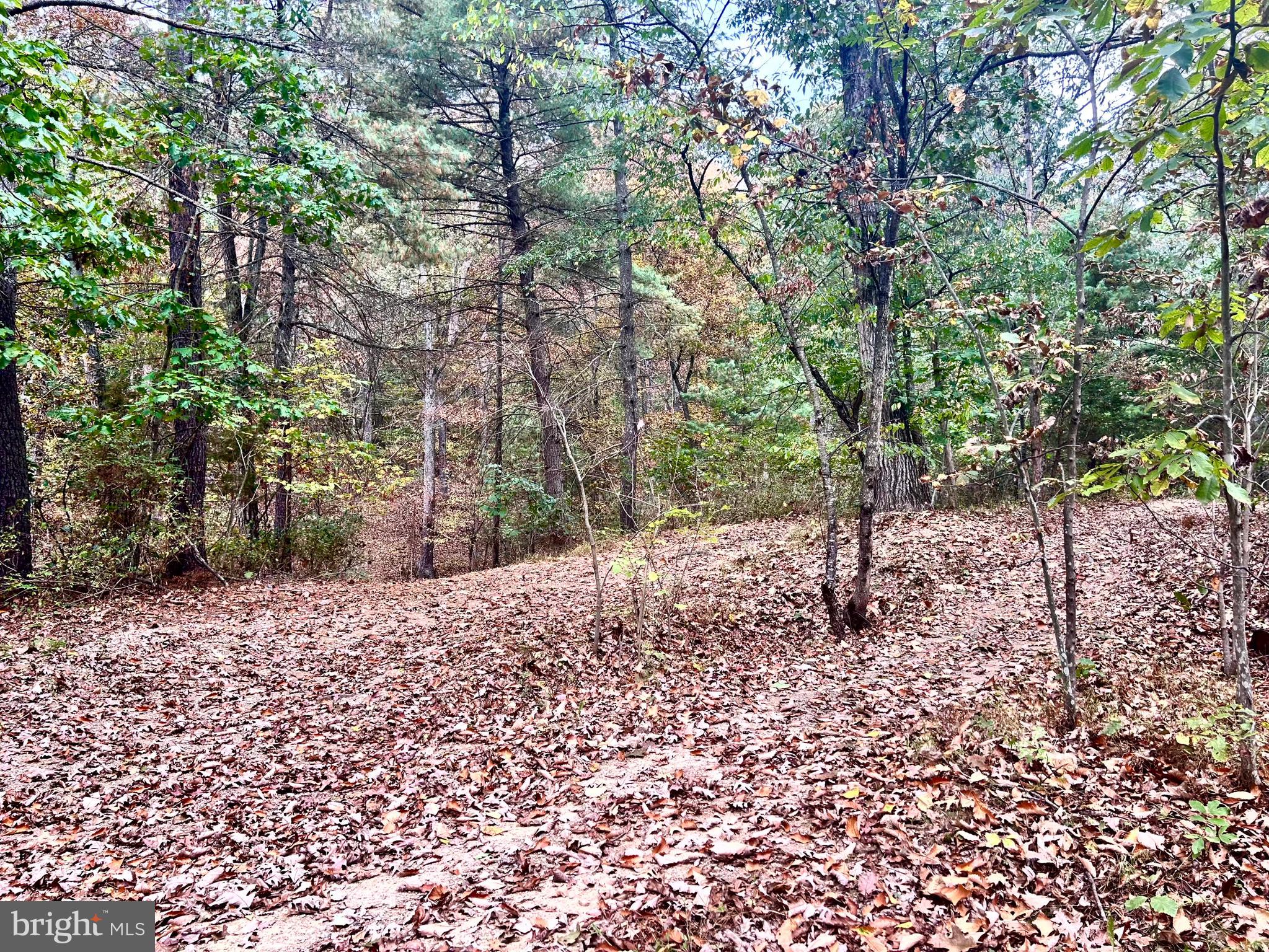 Parcel 38 CONSERVATION DRIVE